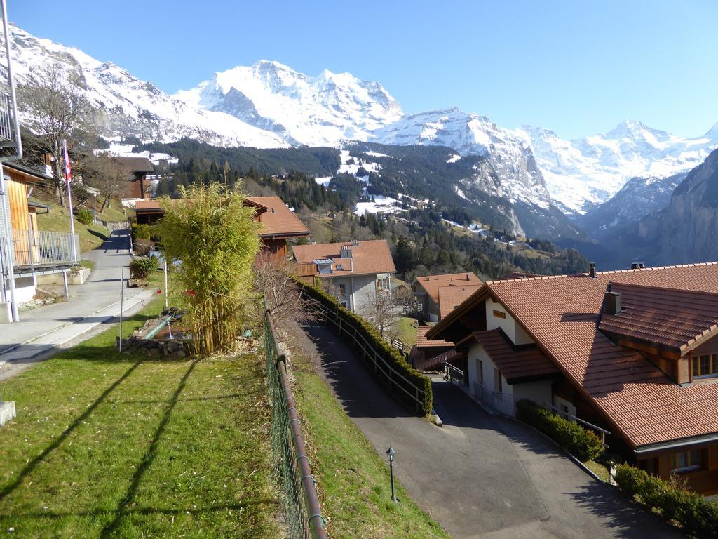 Chalet Gerbera Wengen Pokoj fotografie