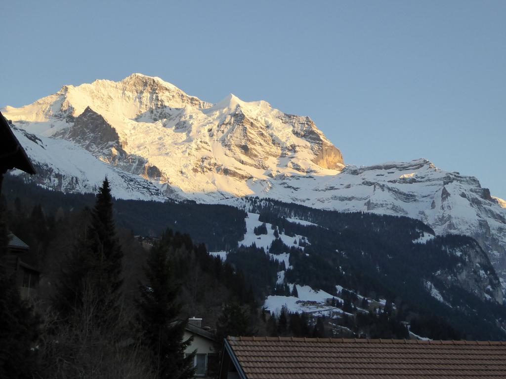 Chalet Gerbera Wengen Pokoj fotografie