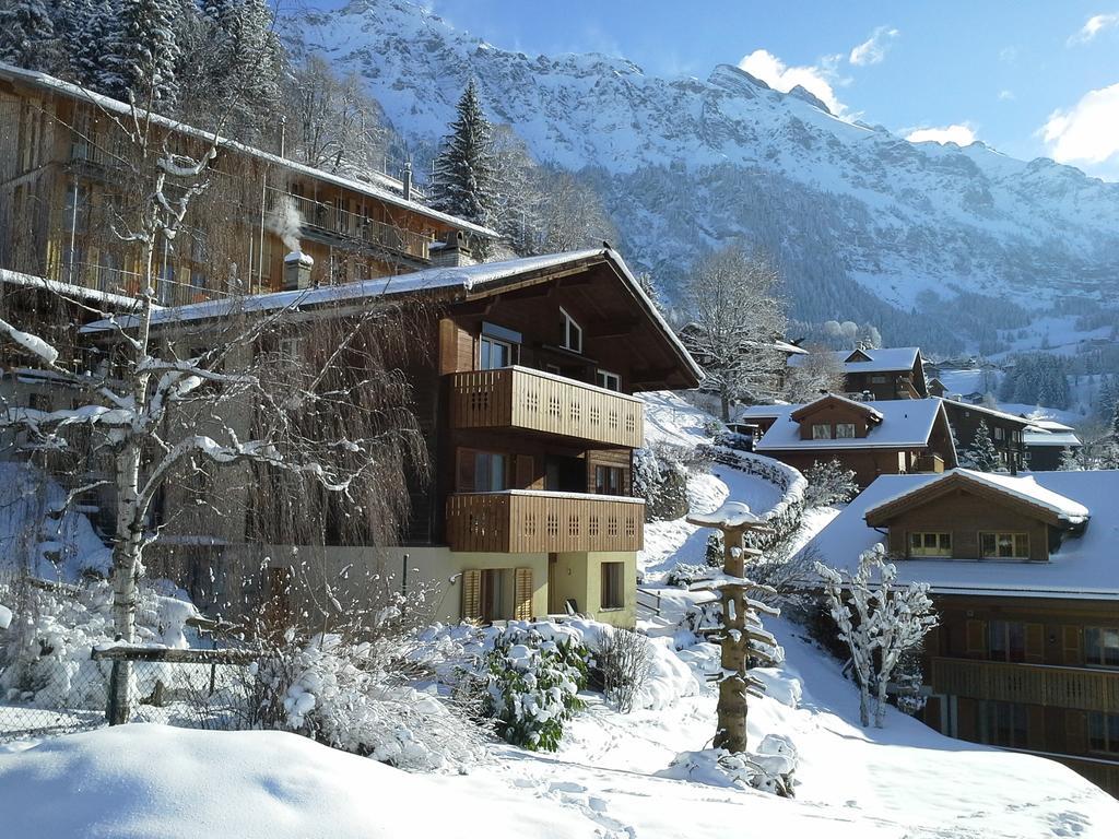 Chalet Gerbera Wengen Pokoj fotografie