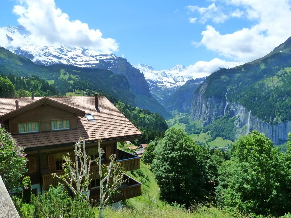 Chalet Gerbera Wengen Exteriér fotografie