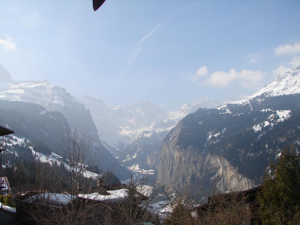 Chalet Gerbera Wengen Pokoj fotografie