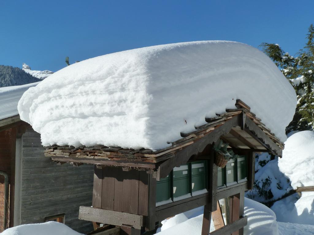 Chalet Gerbera Wengen Exteriér fotografie