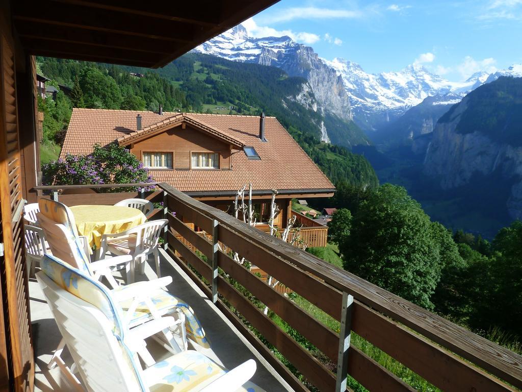 Chalet Gerbera Wengen Exteriér fotografie