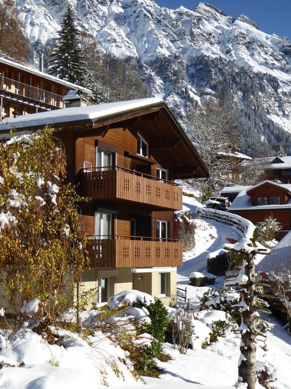 Chalet Gerbera Wengen Exteriér fotografie