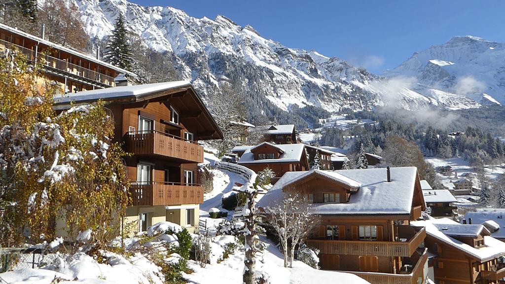 Chalet Gerbera Wengen Exteriér fotografie