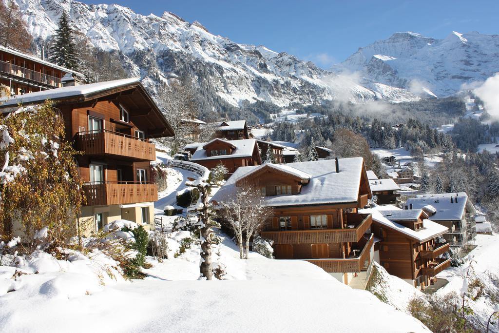 Chalet Gerbera Wengen Exteriér fotografie