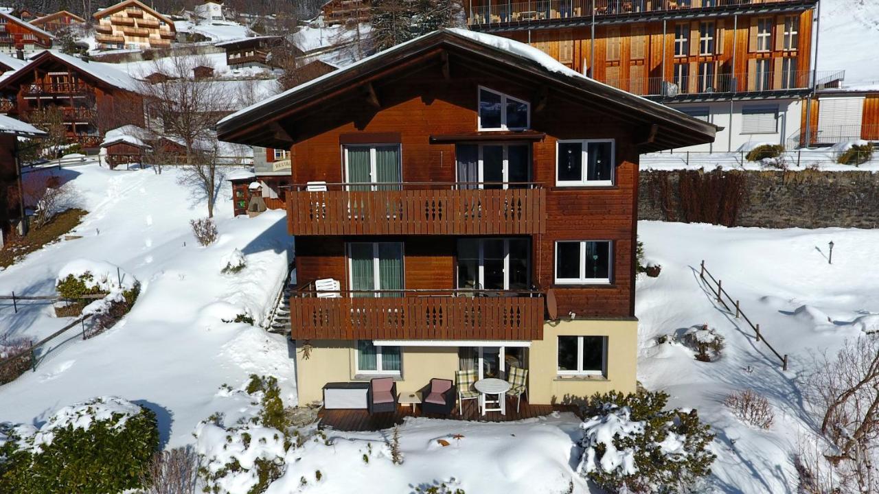 Chalet Gerbera Wengen Exteriér fotografie